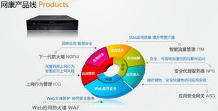 智慧網絡 立體安全 2013網康科技全國巡展掀起行業熱潮